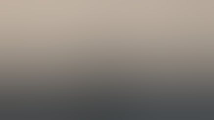 Between Languages Blog