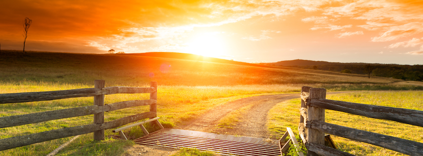 Blog Enlisting Counsellors