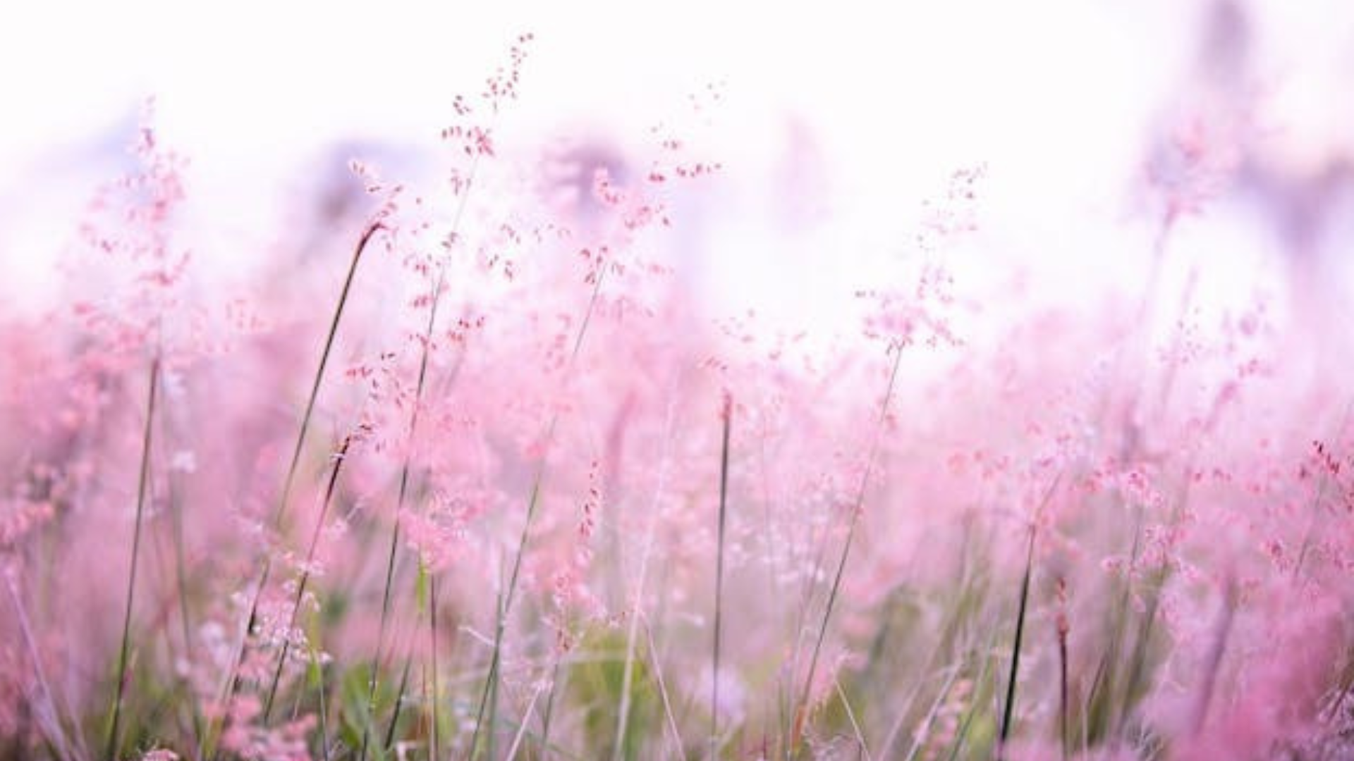 The Hypno Heroines Youve Probably Never Heard Of But Totally Should