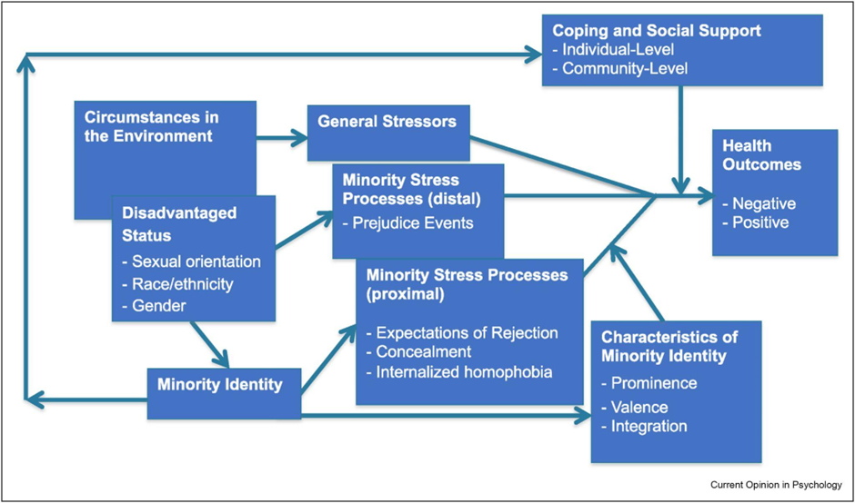 Minority stress theory