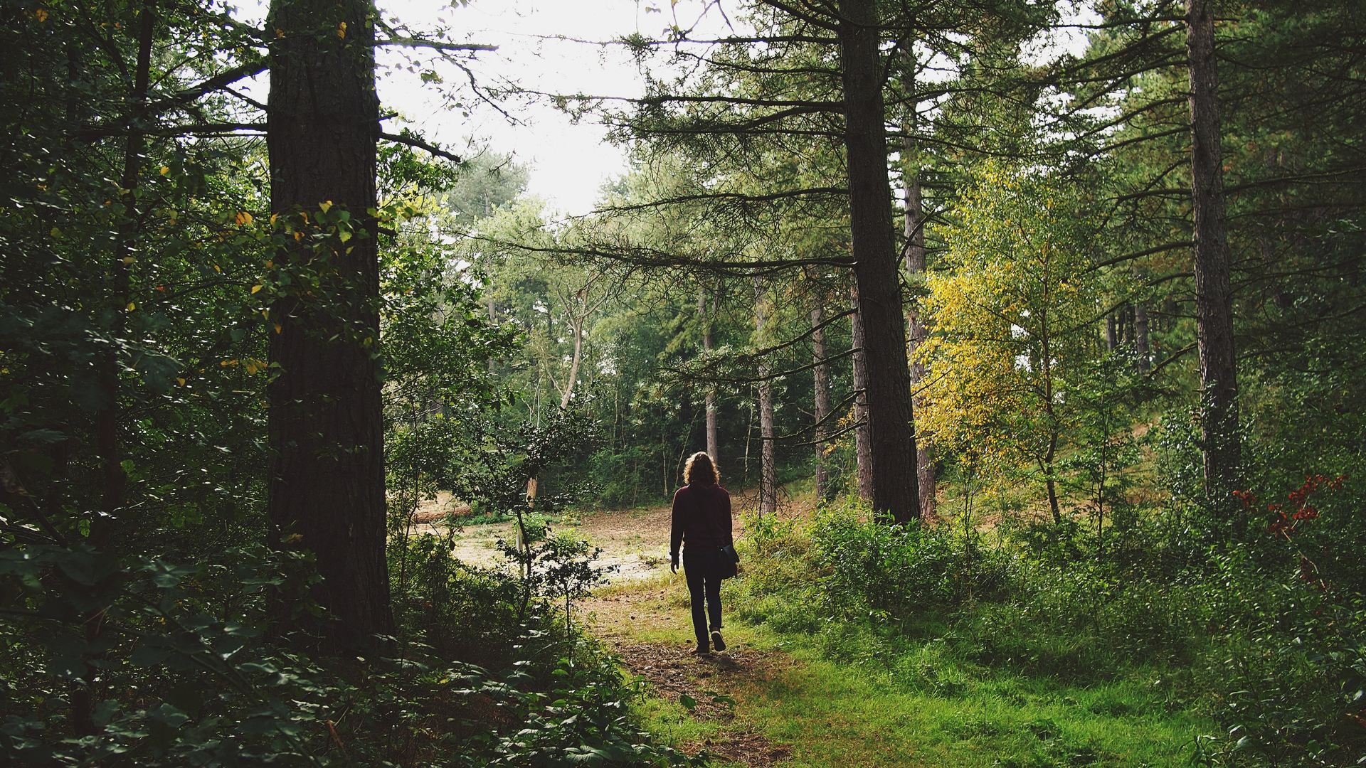 New website blog images 6