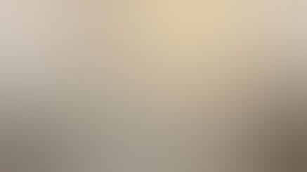 Search Directory Main