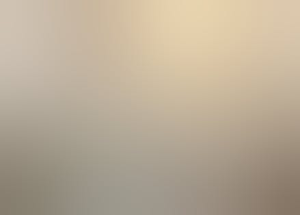 Search Directory Main