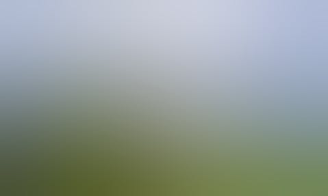 The Lighthouse in the Storm