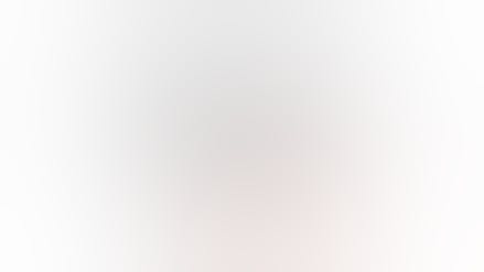 The OLLIE Foundation1