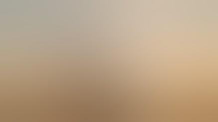 Walking Beside the Carer