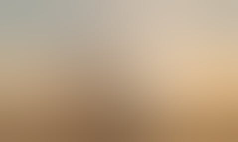 Walking Beside the Carer