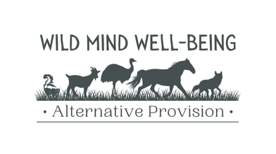 Wild Mind Well Being CIC1